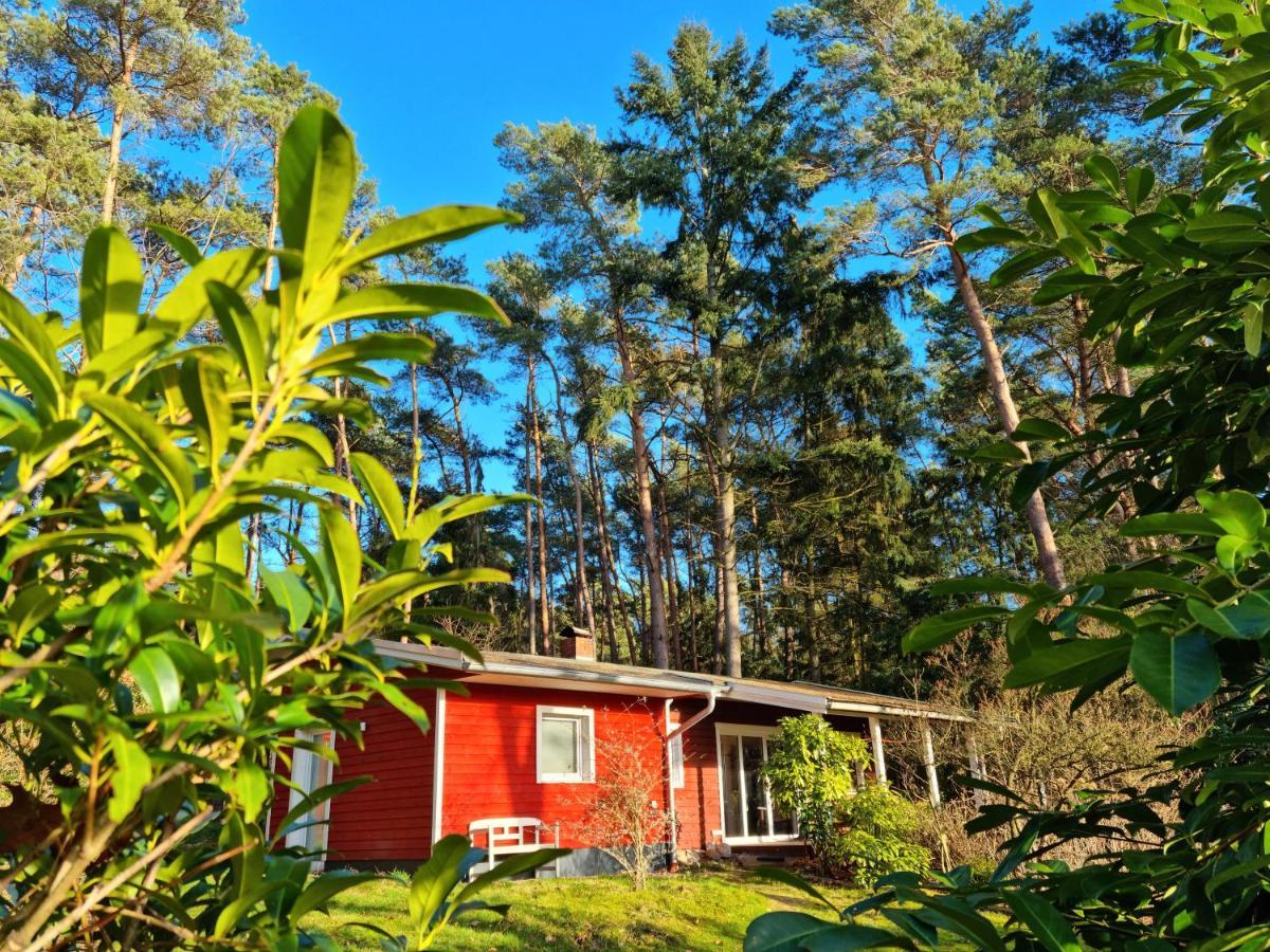 Waldhaus Doetlingen Ferienhaus Im Naturpark المظهر الخارجي الصورة