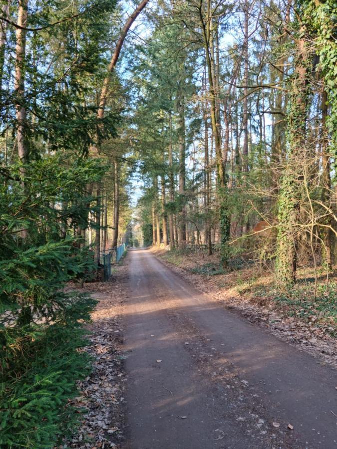 Waldhaus Doetlingen Ferienhaus Im Naturpark المظهر الخارجي الصورة