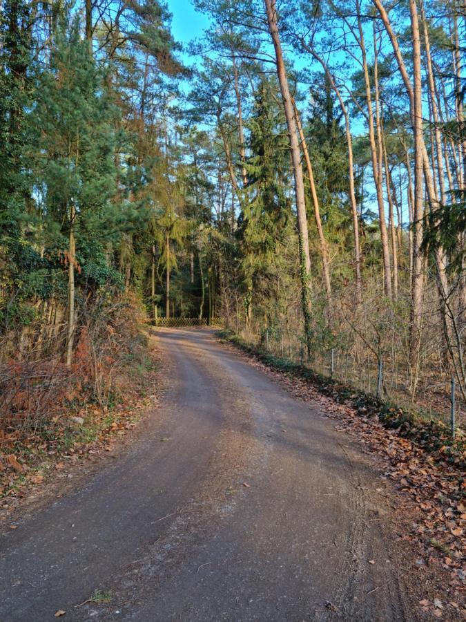 Waldhaus Doetlingen Ferienhaus Im Naturpark المظهر الخارجي الصورة
